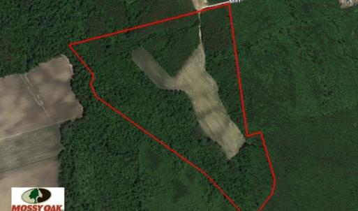 Photo of UNDER CONTRACT!  75.5 acre Farm and Timberland for Sale in Jones County NC!