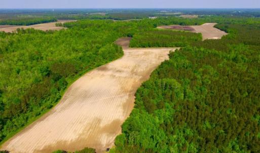 Photo of UNDER CONTRACT!  75.5 acre Farm and Timberland for Sale in Jones County NC!