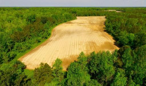 Photo of UNDER CONTRACT!  75.5 acre Farm and Timberland for Sale in Jones County NC!