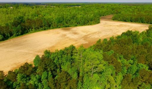 Photo of UNDER CONTRACT!  75.5 acre Farm and Timberland for Sale in Jones County NC!