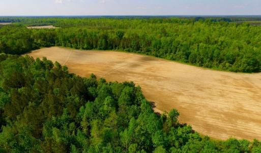Photo of UNDER CONTRACT!  75.5 acre Farm and Timberland for Sale in Jones County NC!