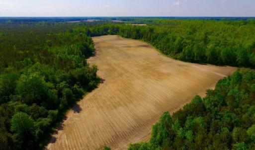 Photo of UNDER CONTRACT!  75.5 acre Farm and Timberland for Sale in Jones County NC!