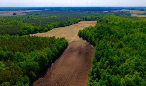 Photo of UNDER CONTRACT!  75.5 acre Farm and Timberland for Sale in Jones County NC!