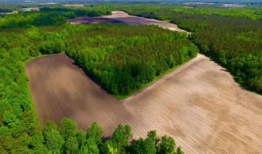 Photo of UNDER CONTRACT!  75.5 acre Farm and Timberland for Sale in Jones County NC!