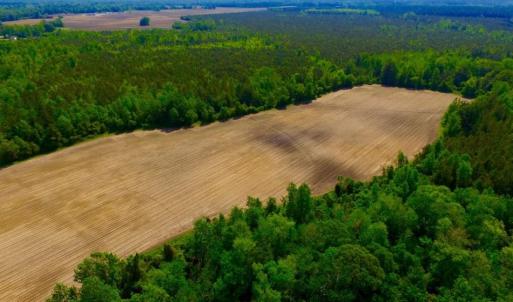 Photo of UNDER CONTRACT!  75.5 acre Farm and Timberland for Sale in Jones County NC!