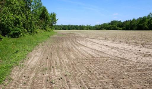 Photo of UNDER CONTRACT!  75.5 acre Farm and Timberland for Sale in Jones County NC!