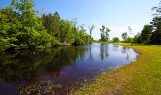 Photo of UNDER CONTRACT!  Waterfront Home with 11 Acres of Land For Sale in Tyrrell County NC!