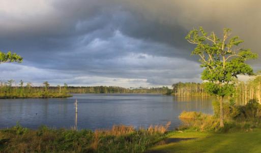 Photo of UNDER CONTRACT!  Waterfront Home with 11 Acres of Land For Sale in Tyrrell County NC!