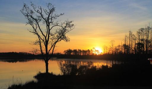 Photo of UNDER CONTRACT!  Waterfront Home with 11 Acres of Land For Sale in Tyrrell County NC!