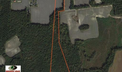 Photo of UNDER CONTRACT!  22 Acres of Hunting Land For Sale in Greensville County VA!