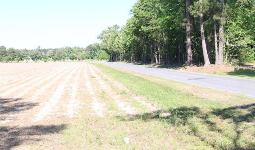 Photo of UNDER CONTRACT!  22 Acres of Hunting Land For Sale in Greensville County VA!