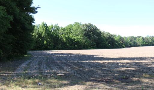 Photo of UNDER CONTRACT!  22 Acres of Hunting Land For Sale in Greensville County VA!