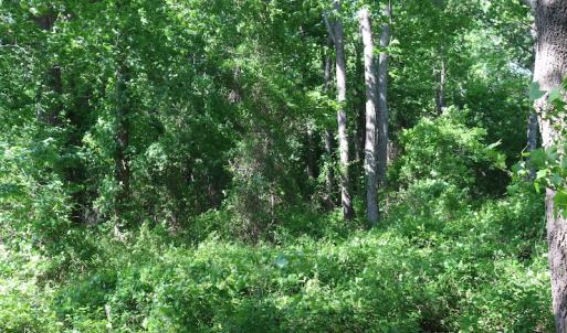 Photo of UNDER CONTRACT!  22 Acres of Hunting Land For Sale in Greensville County VA!