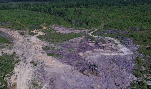Photo of UNDER CONTRACT!  124.66 Acres of Hunting and Recreational Land For Sale in Lunenburg County VA!