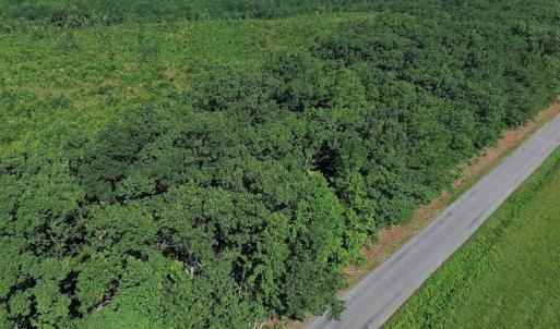 Photo of UNDER CONTRACT!  124.66 Acres of Hunting and Recreational Land For Sale in Lunenburg County VA!
