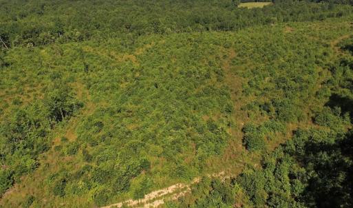 Photo of UNDER CONTRACT!  124.66 Acres of Hunting and Recreational Land For Sale in Lunenburg County VA!