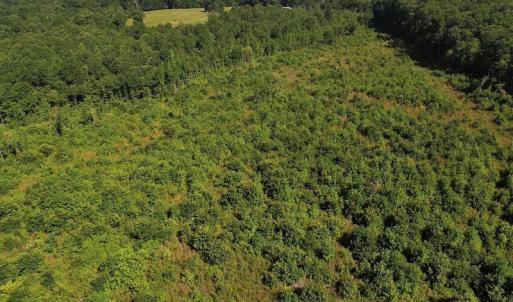 Photo of UNDER CONTRACT!  124.66 Acres of Hunting and Recreational Land For Sale in Lunenburg County VA!