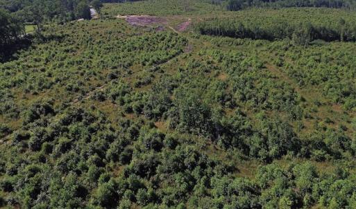 Photo of UNDER CONTRACT!  124.66 Acres of Hunting and Recreational Land For Sale in Lunenburg County VA!