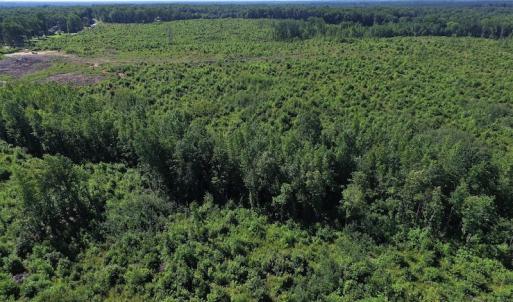 Photo of UNDER CONTRACT!  124.66 Acres of Hunting and Recreational Land For Sale in Lunenburg County VA!