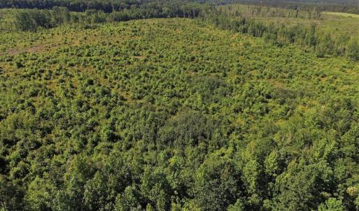Photo of UNDER CONTRACT!  124.66 Acres of Hunting and Recreational Land For Sale in Lunenburg County VA!