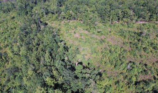 Photo of UNDER CONTRACT!  124.66 Acres of Hunting and Recreational Land For Sale in Lunenburg County VA!