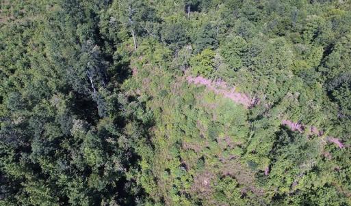Photo of UNDER CONTRACT!  124.66 Acres of Hunting and Recreational Land For Sale in Lunenburg County VA!