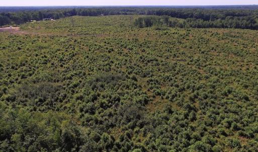 Photo of UNDER CONTRACT!  124.66 Acres of Hunting and Recreational Land For Sale in Lunenburg County VA!