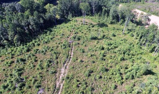 Photo of UNDER CONTRACT!  124.66 Acres of Hunting and Recreational Land For Sale in Lunenburg County VA!