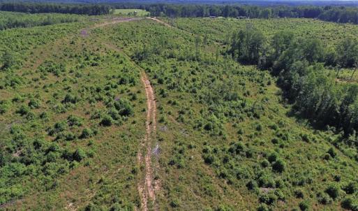 Photo of UNDER CONTRACT!  124.66 Acres of Hunting and Recreational Land For Sale in Lunenburg County VA!