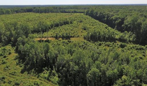 Photo of UNDER CONTRACT!  124.66 Acres of Hunting and Recreational Land For Sale in Lunenburg County VA!