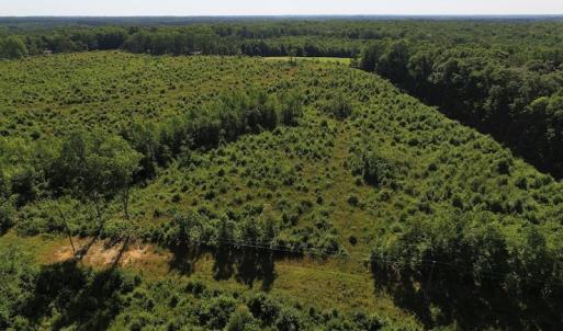 Photo of UNDER CONTRACT!  124.66 Acres of Hunting and Recreational Land For Sale in Lunenburg County VA!