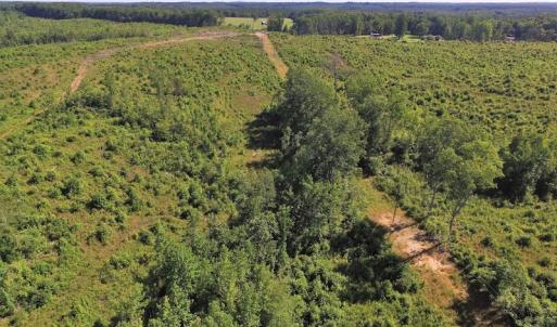 Photo of UNDER CONTRACT!  124.66 Acres of Hunting and Recreational Land For Sale in Lunenburg County VA!