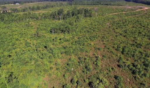 Photo of UNDER CONTRACT!  124.66 Acres of Hunting and Recreational Land For Sale in Lunenburg County VA!
