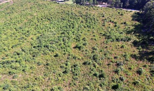 Photo of UNDER CONTRACT!  124.66 Acres of Hunting and Recreational Land For Sale in Lunenburg County VA!
