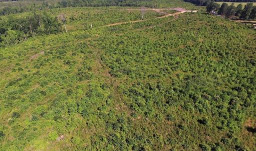 Photo of UNDER CONTRACT!  124.66 Acres of Hunting and Recreational Land For Sale in Lunenburg County VA!