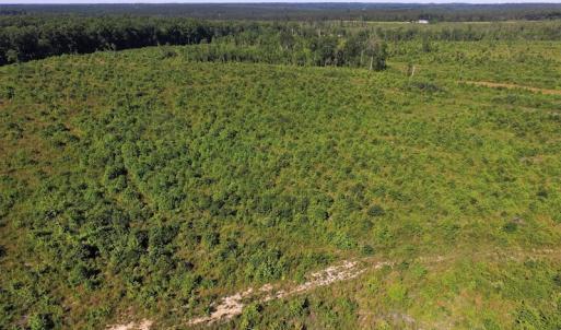 Photo of UNDER CONTRACT!  124.66 Acres of Hunting and Recreational Land For Sale in Lunenburg County VA!