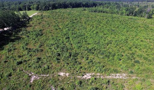 Photo of UNDER CONTRACT!  124.66 Acres of Hunting and Recreational Land For Sale in Lunenburg County VA!