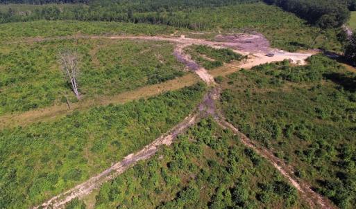 Photo of UNDER CONTRACT!  124.66 Acres of Hunting and Recreational Land For Sale in Lunenburg County VA!