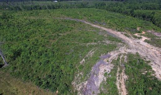 Photo of UNDER CONTRACT!  124.66 Acres of Hunting and Recreational Land For Sale in Lunenburg County VA!