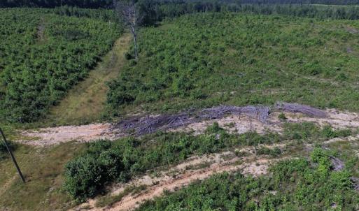 Photo of UNDER CONTRACT!  124.66 Acres of Hunting and Recreational Land For Sale in Lunenburg County VA!