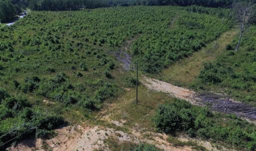 Photo of UNDER CONTRACT!  124.66 Acres of Hunting and Recreational Land For Sale in Lunenburg County VA!