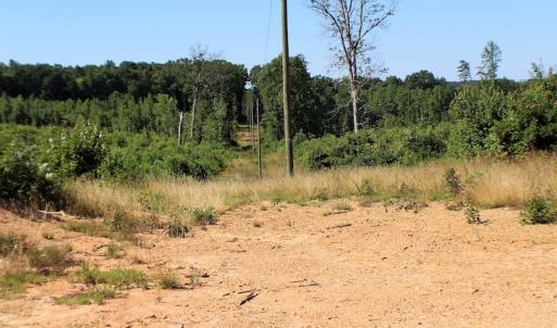 Photo of UNDER CONTRACT!  124.66 Acres of Hunting and Recreational Land For Sale in Lunenburg County VA!