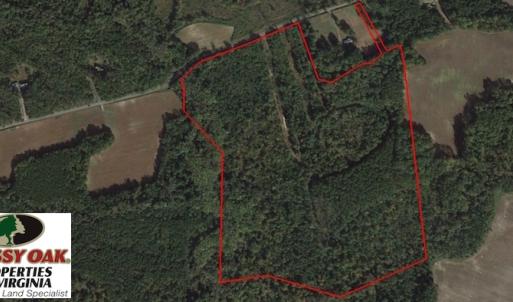 Photo of SOLD!  62 Acres of Hunting Land with Home Site For Sale in Suffolk Virginia!