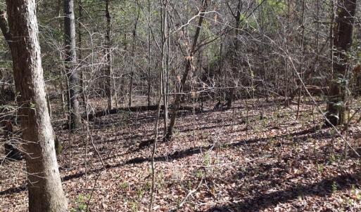 Photo of SOLD!  62 Acres of Hunting Land with Home Site For Sale in Suffolk Virginia!