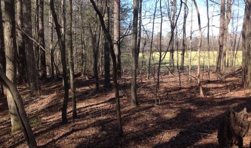 Photo of SOLD!  62 Acres of Hunting Land with Home Site For Sale in Suffolk Virginia!