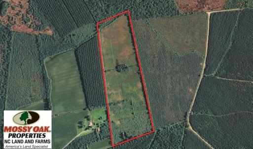 Photo of UNDER CONTRACT!  46 Acres of Timber and Hunting Land for Sale in Columbus County NC!