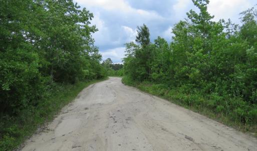 Photo of UNDER CONTRACT!  33 Acres of Hunting and Timber Land for Sale in Duplin County NC!