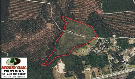 Photo of UNDER CONTRACT!  33 Acres of Hunting and Timber Land for Sale in Duplin County NC!