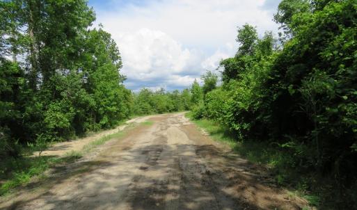 Photo of UNDER CONTRACT!  28 Acres of Hunting and Timber Land for Sale in Duplin County NC!