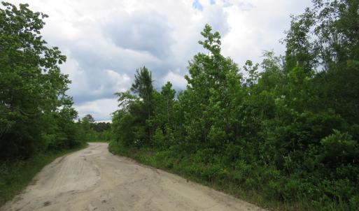 Photo of UNDER CONTRACT!  28 Acres of Hunting and Timber Land for Sale in Duplin County NC!